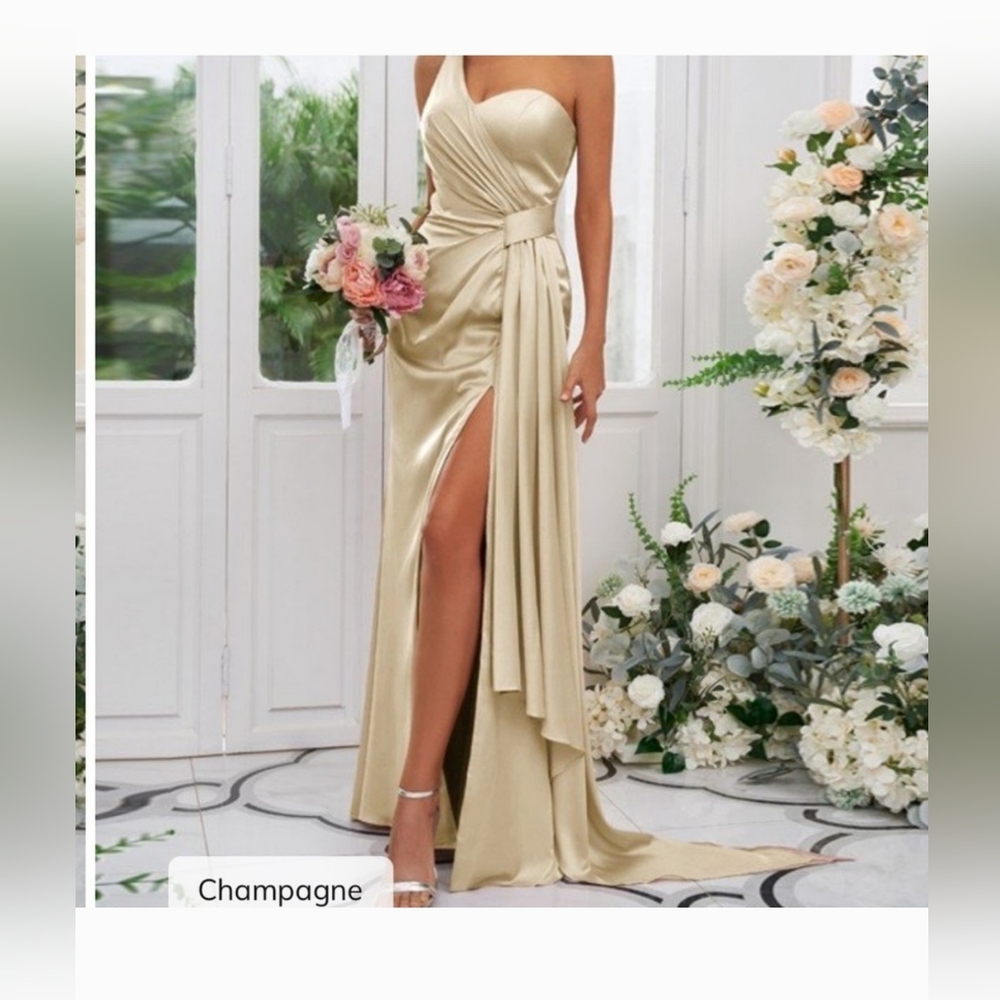 HEBEOS Elegant Champagne One-Shoulder Gown size 2